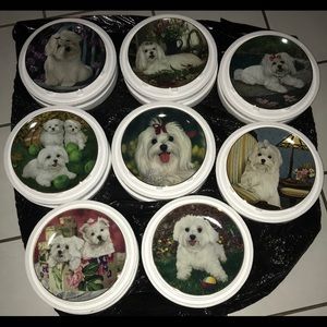 Maltese collectible plates.